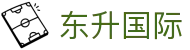 东升国际官网-全球电商营销与AI大模型